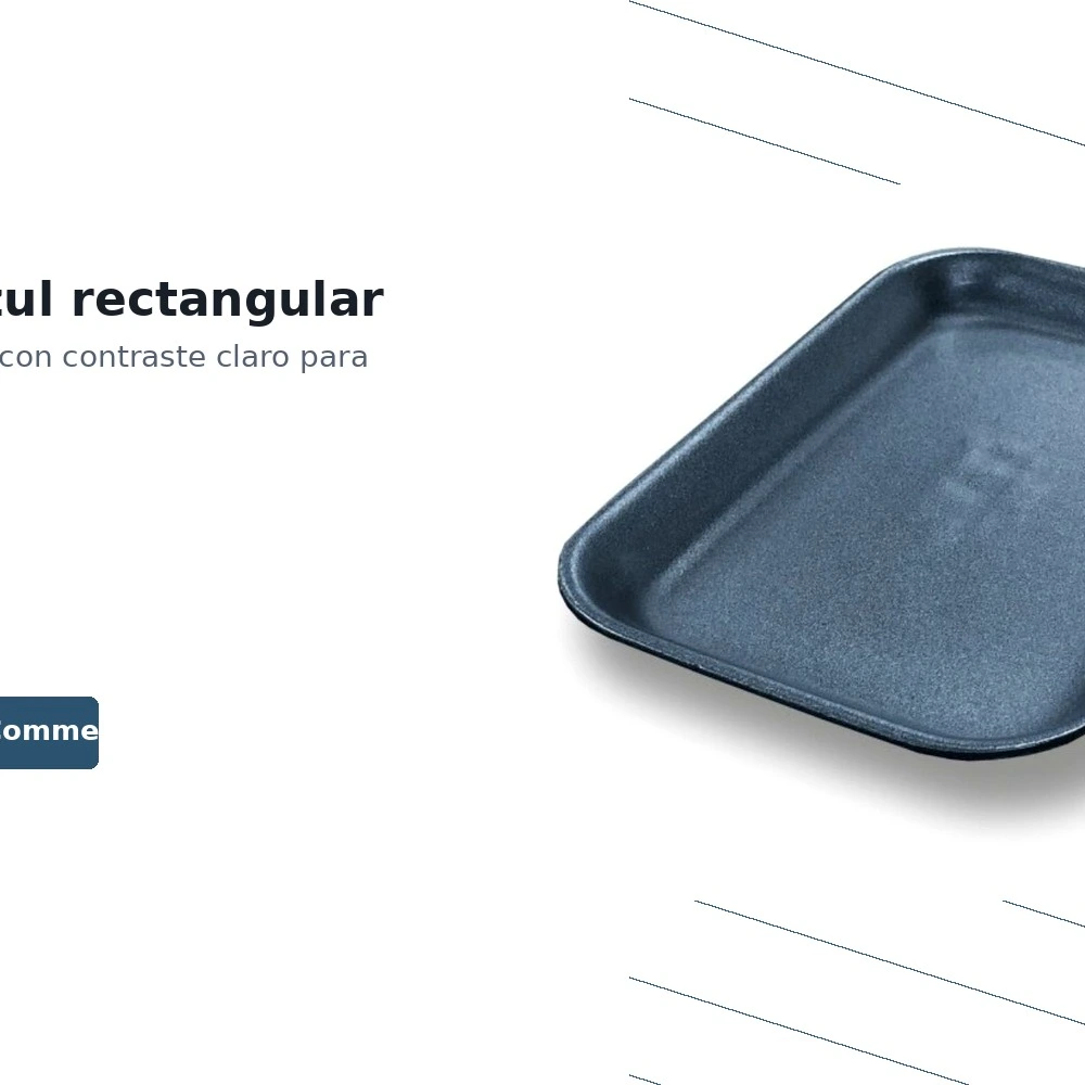 Bandeja Ps 100 Corcho Negra 265x135x25 B/270ud — vista 5